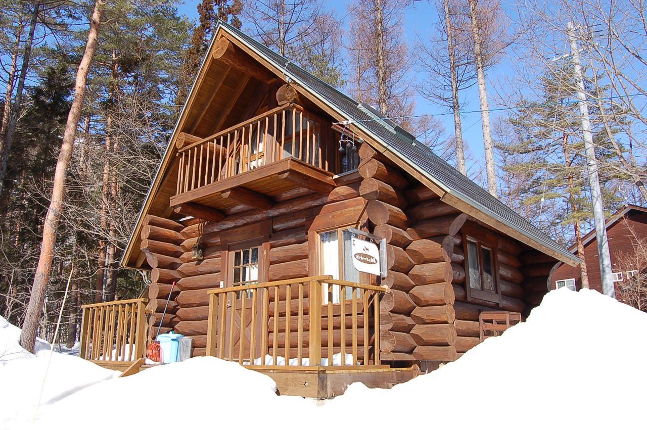 Campagne Hakuba Villa Bagian luar foto
